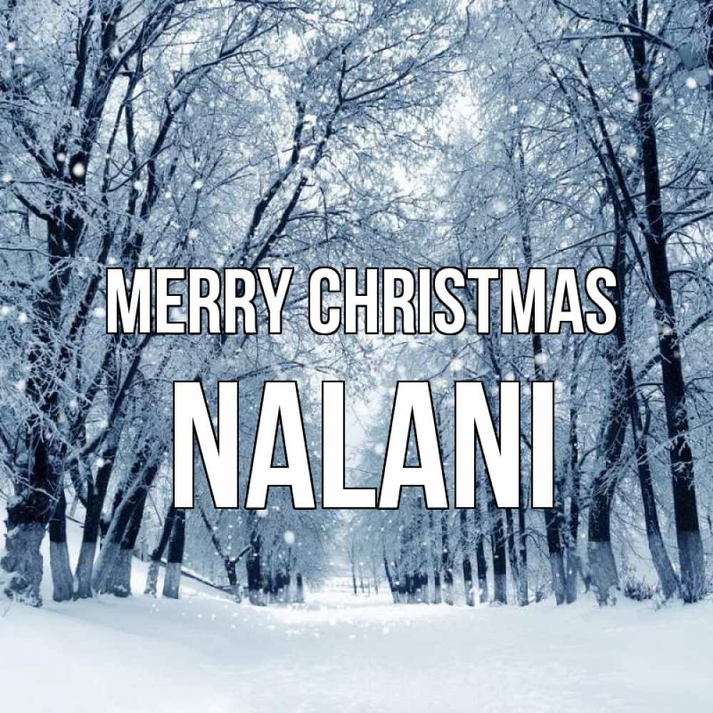 Greetings card с именем, Nalani Merry Christmas снег, лес, парк Greetings with text for free download 