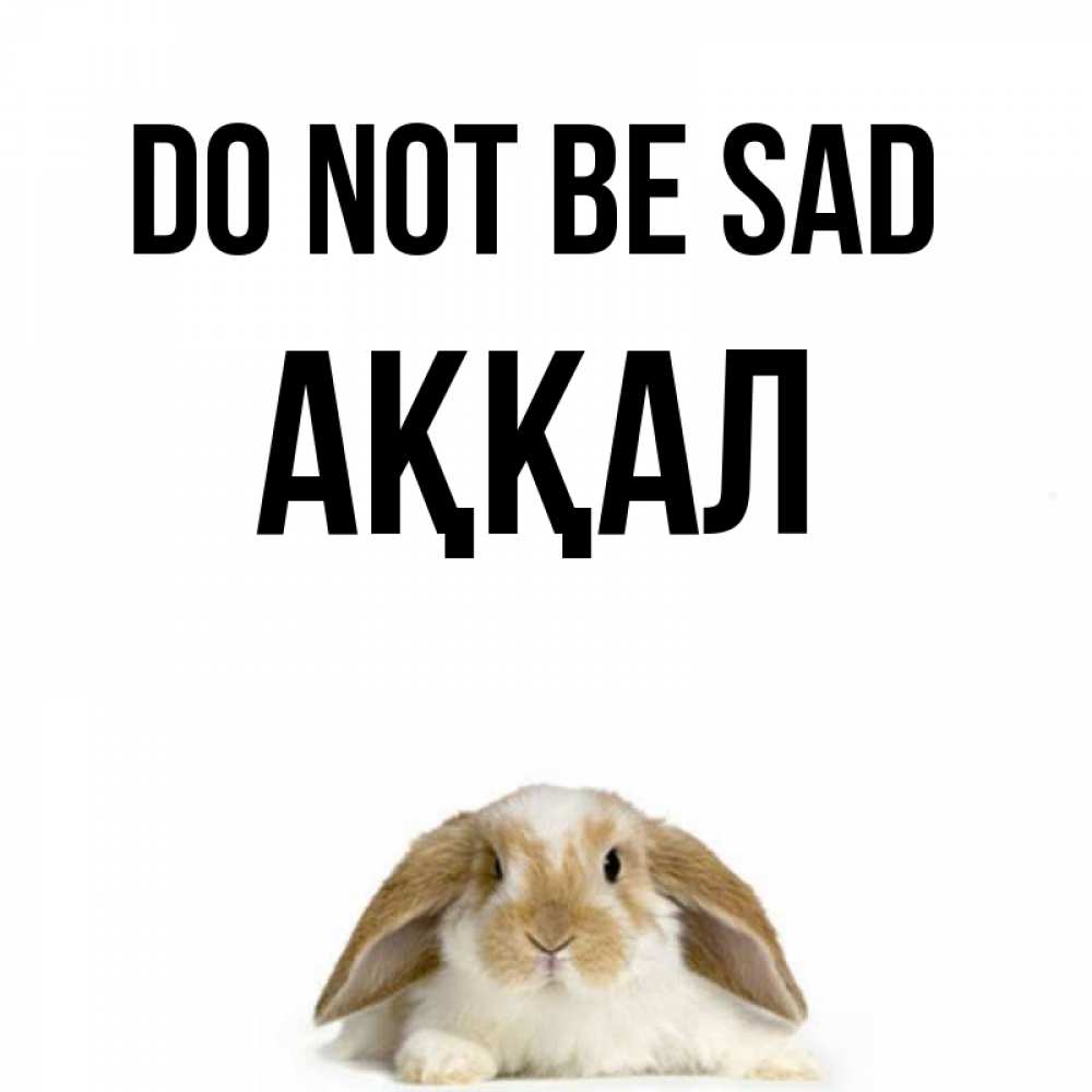 Greetings card с именем, Аққал Do not be sad коричнево белый заяц с большими ушками Greetings with text for free download 