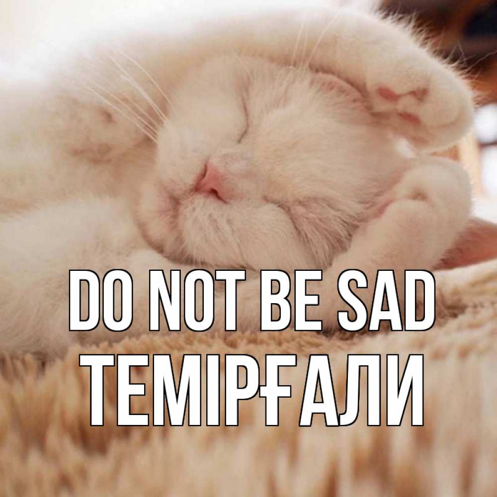 Greetings card с именем, ТЕМІРҒАЛИ Do not be sad белый кот Greetings with text for free download 