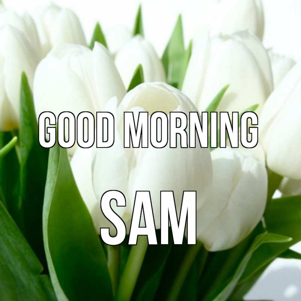Greetings card с именем, Sam Good morning открытки на каждый день по именам Greetings with text for free download 