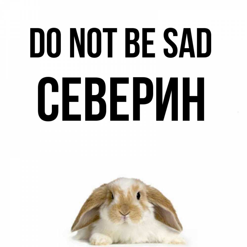 Greetings card с именем, Северин Do not be sad коричнево белый заяц с большими ушками Greetings with text for free download 