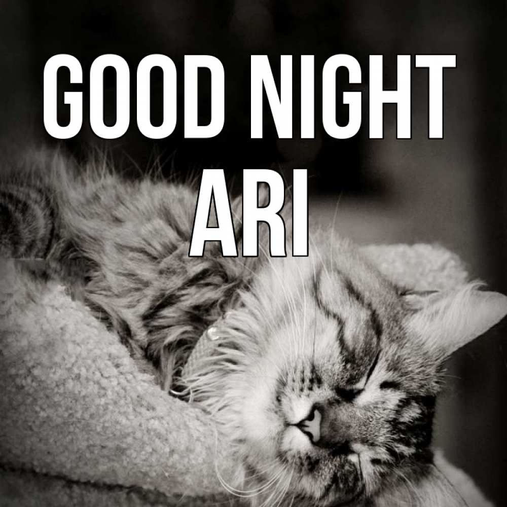 Greetings card с именем, Ari Good night котярик пушистый Greetings with text for free download 