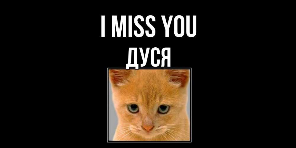Greetings card с именем, Дуся I miss you открытки рыжий котенок скучает по тебе Greetings with text for free download 