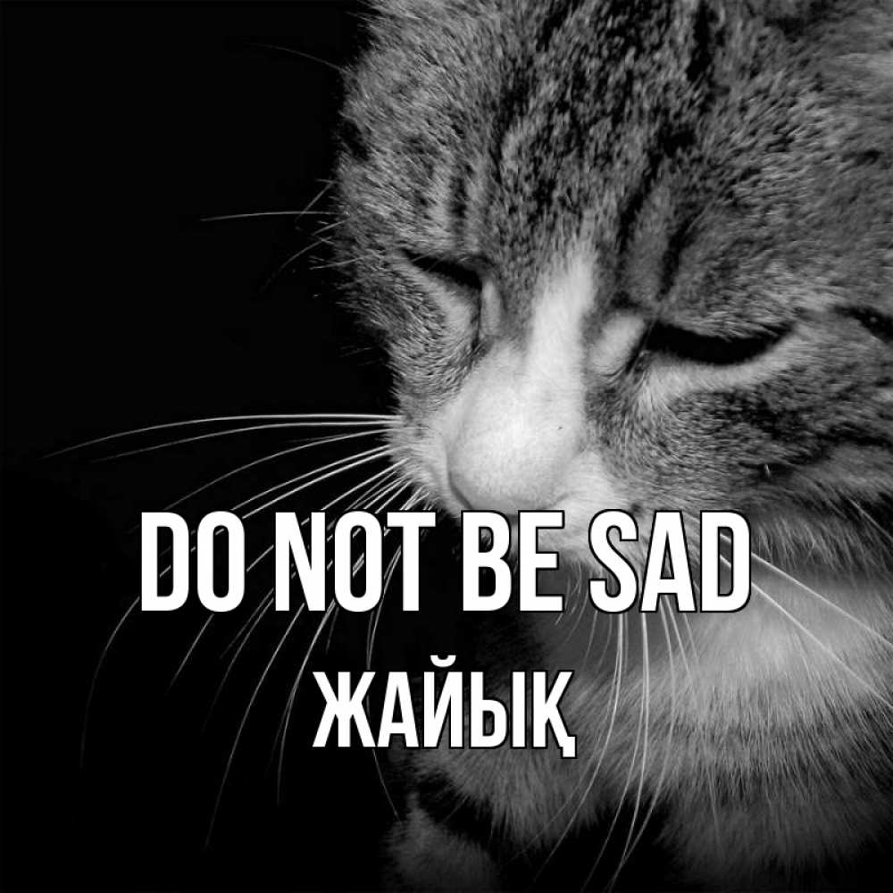 Greetings card с именем, Жайық Do not be sad грустный котик Greetings with text for free download 