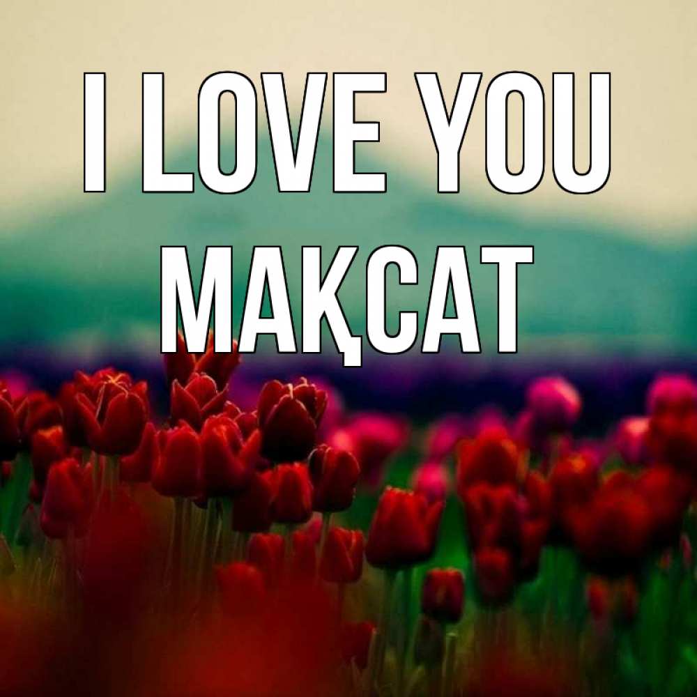 Greetings card с именем, МАҚСАТ I love you тюльпаны 4 Greetings with text for free download 