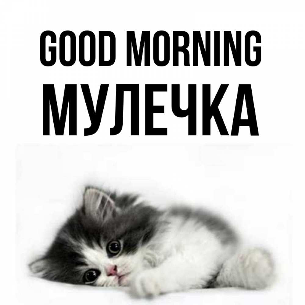 Greetings card с именем, Мулечка Good morning кот лапки Greetings with text for free download 