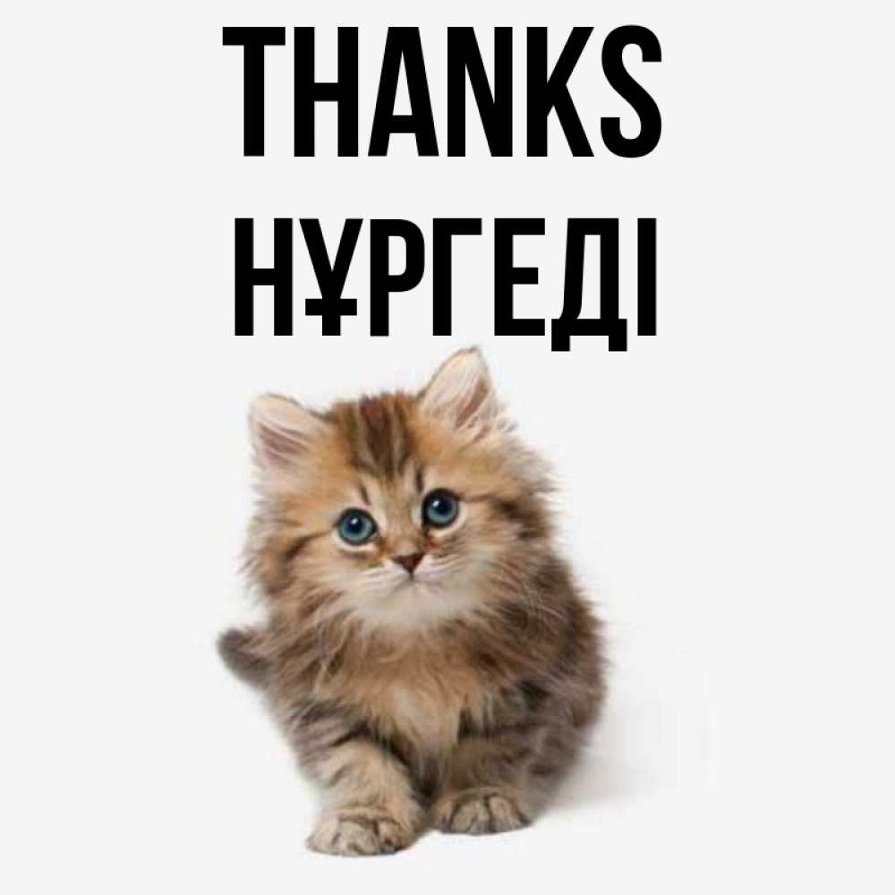 Greetings card с именем, НҰРГЕДІ Thanks пушистый котик Greetings with text for free download 