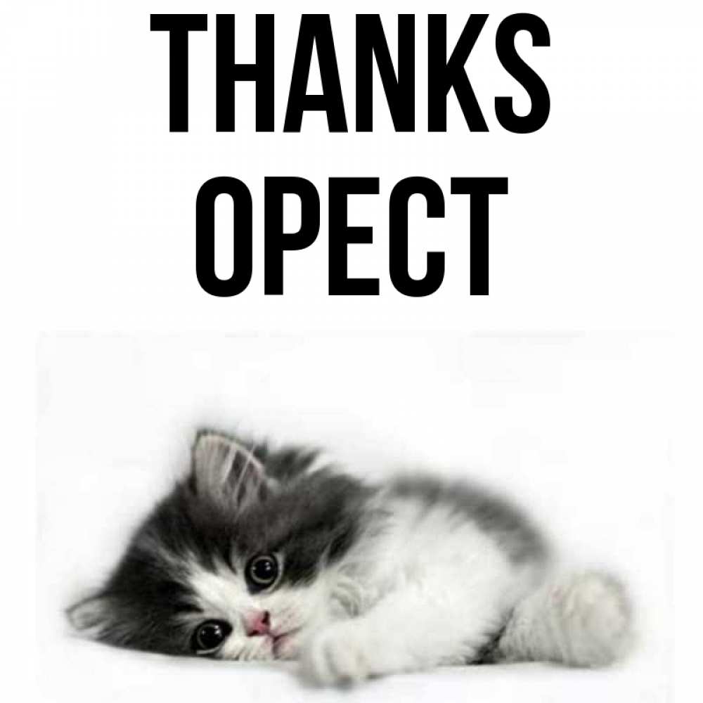 Greetings card с именем, Орест Thanks черный и белый кот Greetings with text for free download 