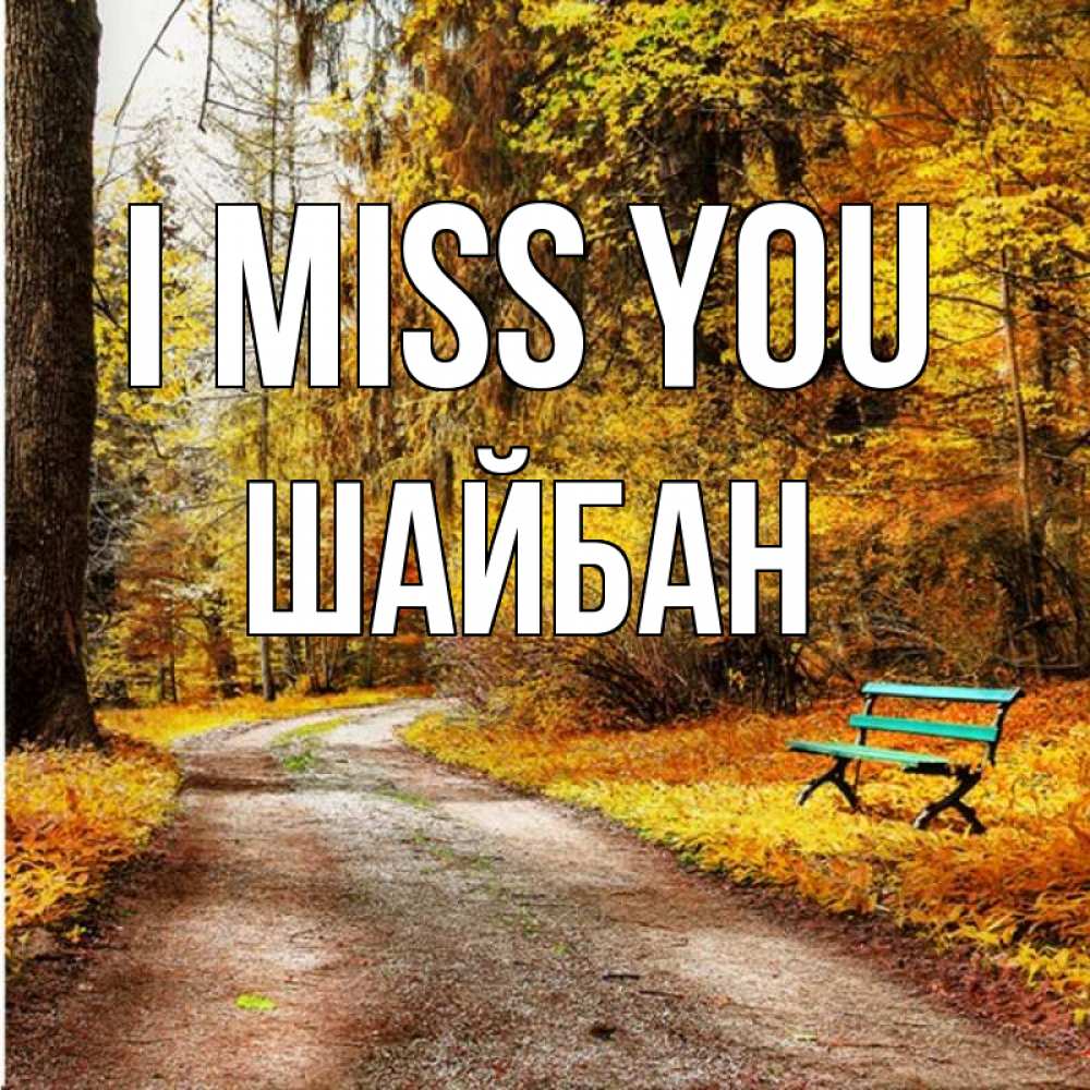 Greetings card с именем, ШАЙБАН I miss you зеленая лавочка и осенний лес Greetings with text for free download 
