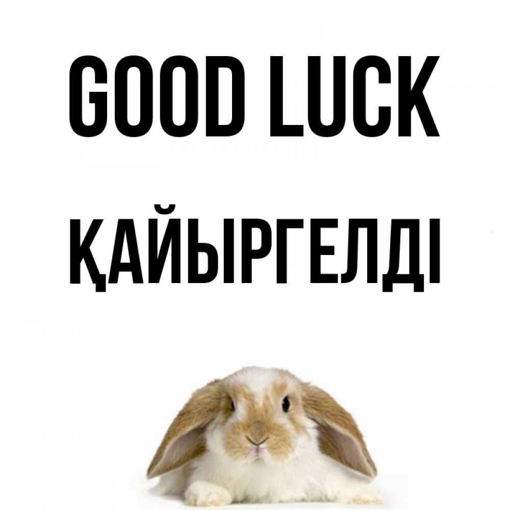 Greetings card с именем, Қайыргелді Good luck открытки с произвольным текстом который можно вставить в открытку и создать ее самостоятельно бесплатно онлайн Greetings with text for free download 