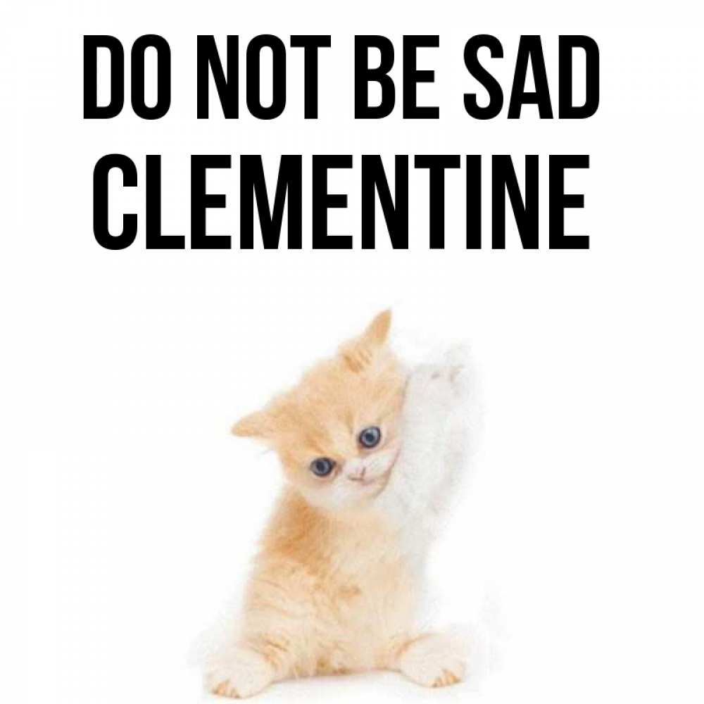 Greetings card с именем, Clementine Do not be sad просящий кот Greetings with text for free download 