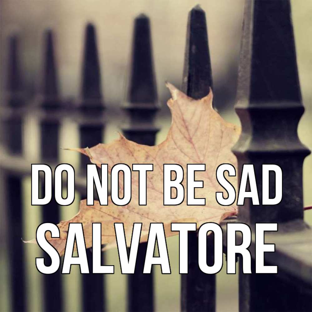 Greetings card с именем, Salvatore Do not be sad лист клена Greetings with text for free download 