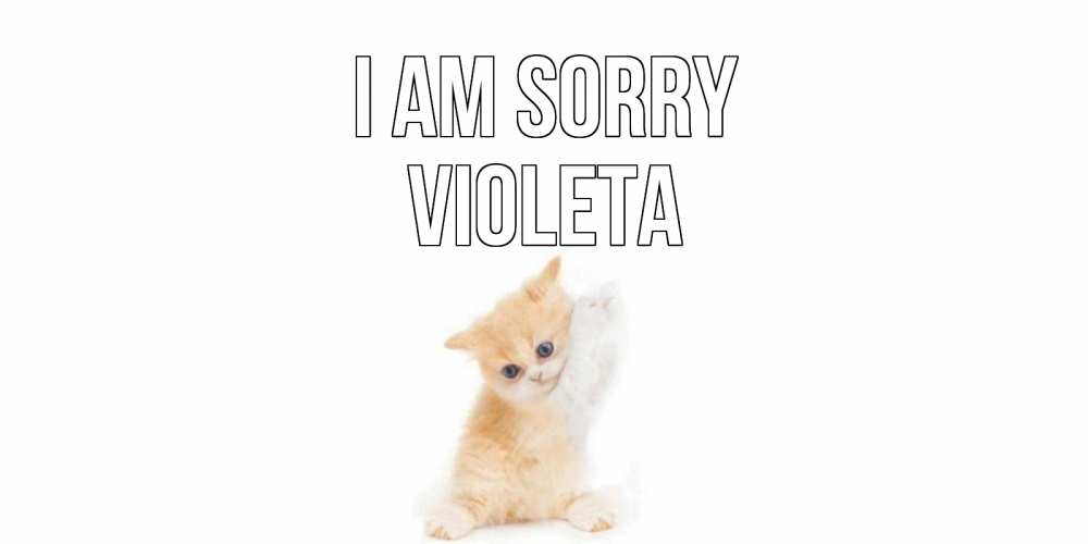 Greetings card с именем, Violeta I am sorry кот Greetings with text for free download 