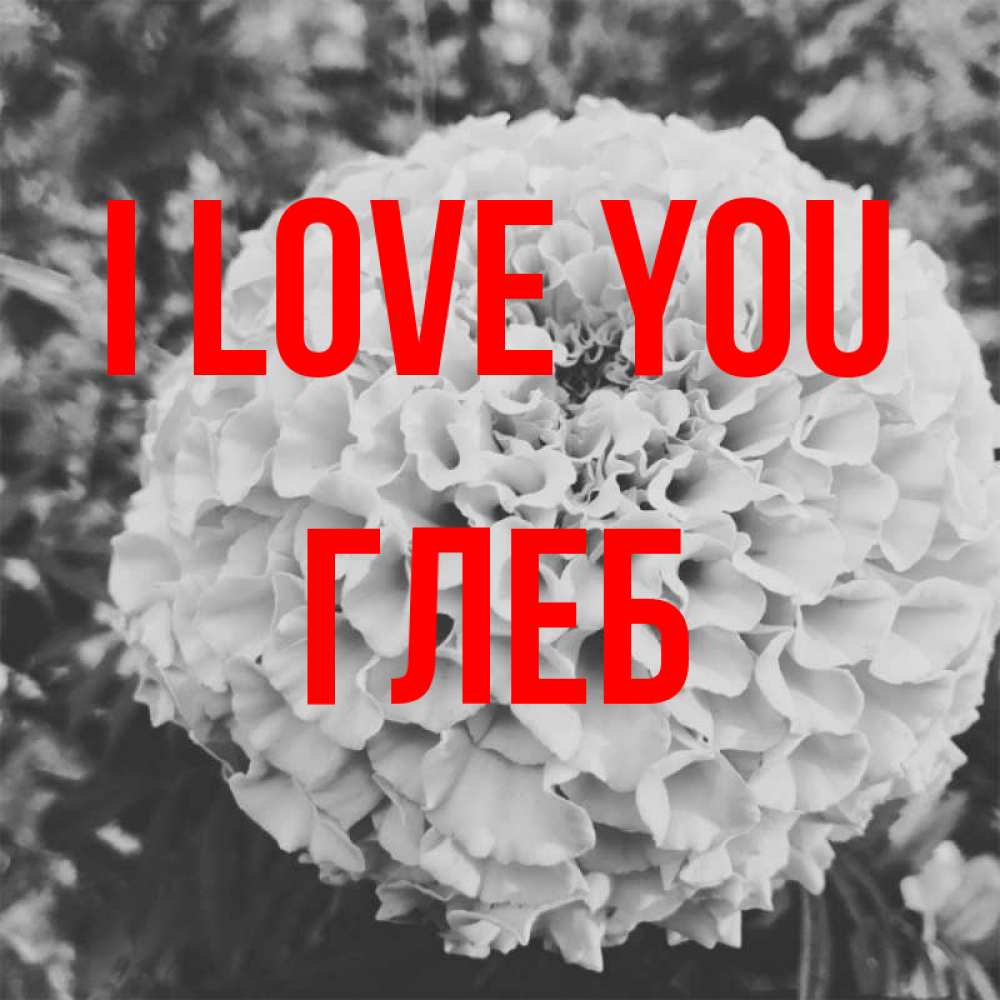 Greetings card с именем, Глеб I love you подпись Greetings with text for free download 