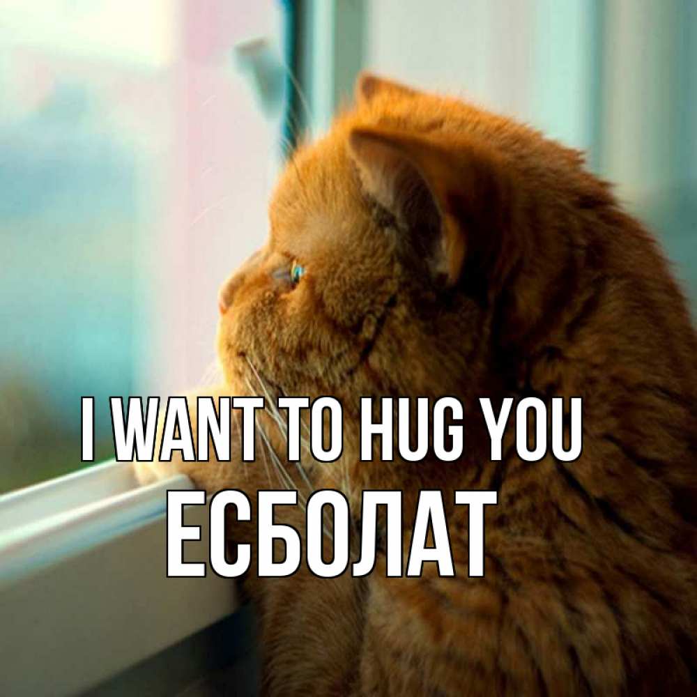 Greetings card с именем, Есболат I want to hug you большой огромный рыжий котяра Greetings with text for free download 