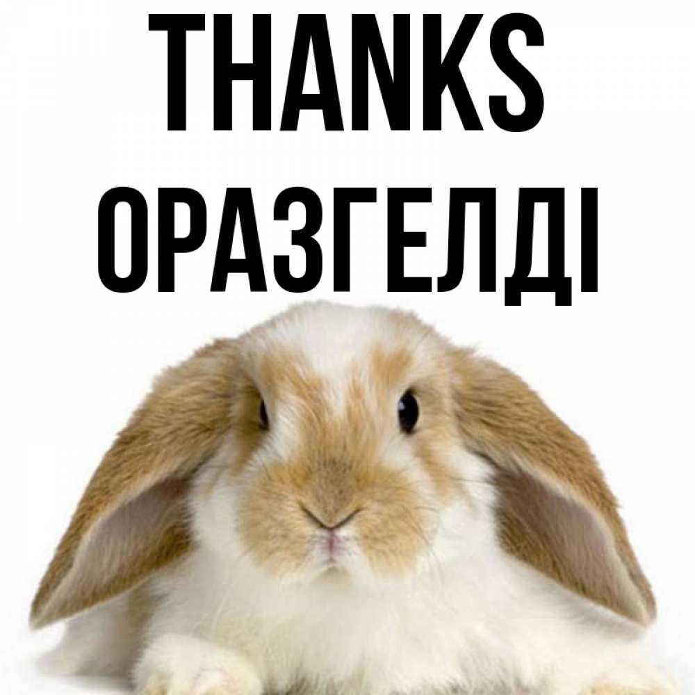 Greetings card с именем, ОРАЗГЕЛДІ Thanks коричнево белый заяц Greetings with text for free download 