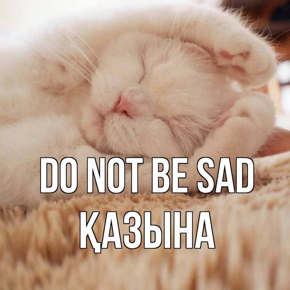 Greetings card с именем, ҚАЗЫНА Do not be sad белый кот Greetings with text for free download 