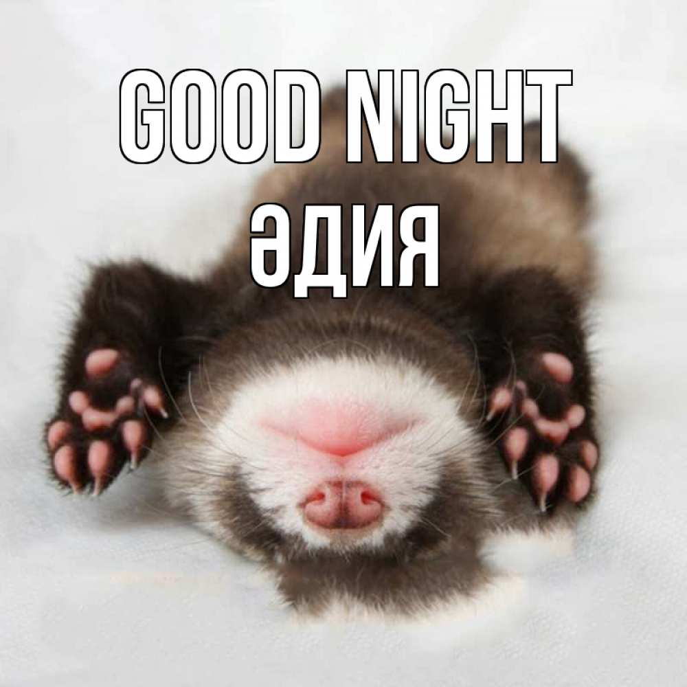 Greetings card с именем, ӘДИЯ Good night зверек Greetings with text for free download 