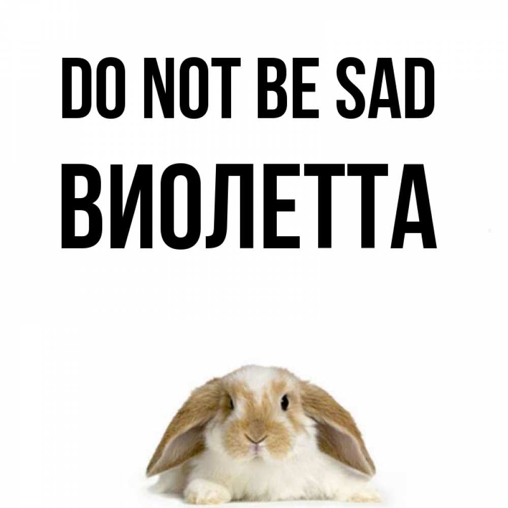 Greetings card с именем, Виолетта Do not be sad коричнево белый заяц с большими ушками Greetings with text for free download 