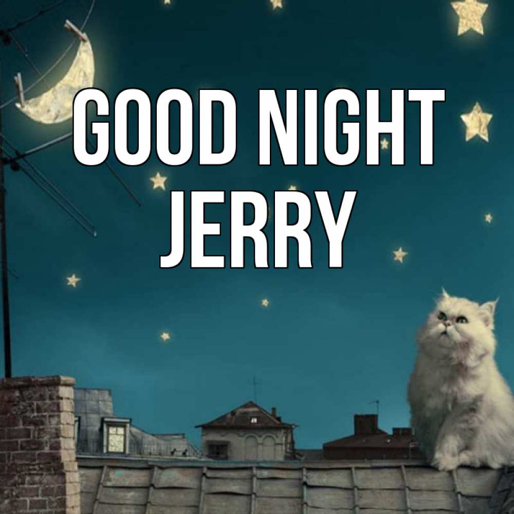 Greetings card с именем, Jerry Good night белый кот сидит на крыше Greetings with text for free download 