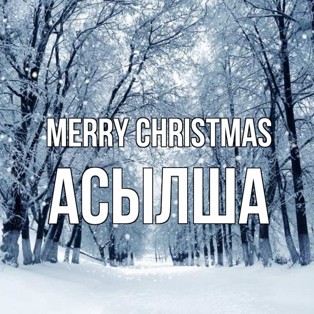 Greetings card с именем, АСЫЛША Merry Christmas снег, лес, парк Greetings with text for free download 