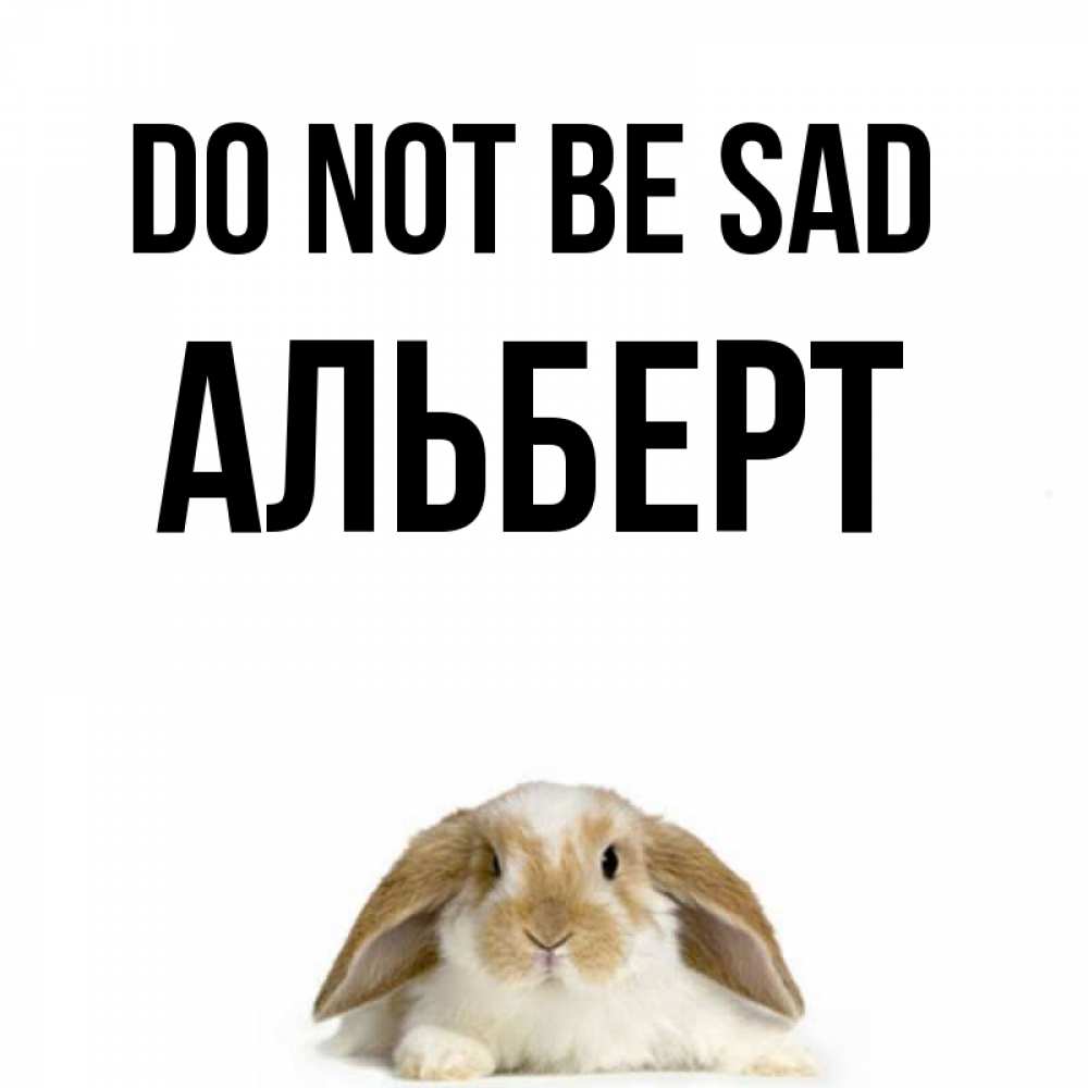 Greetings card с именем, Альберт Do not be sad коричнево белый заяц с большими ушками Greetings with text for free download 