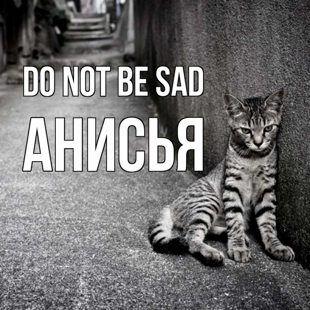 Greetings card с именем, Анисья Do not be sad скучающий котик Greetings with text for free download 