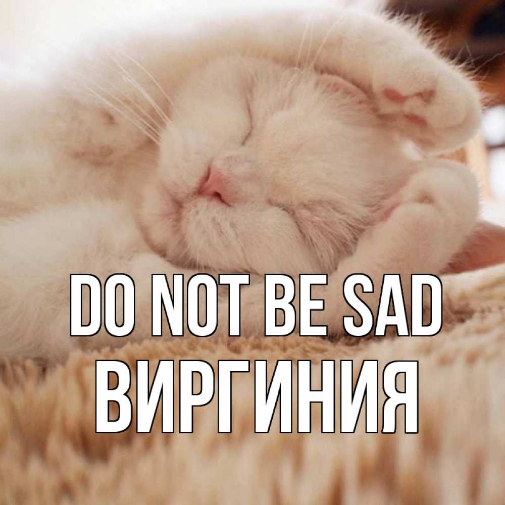 Greetings card с именем, Виргиния Do not be sad белый кот Greetings with text for free download 