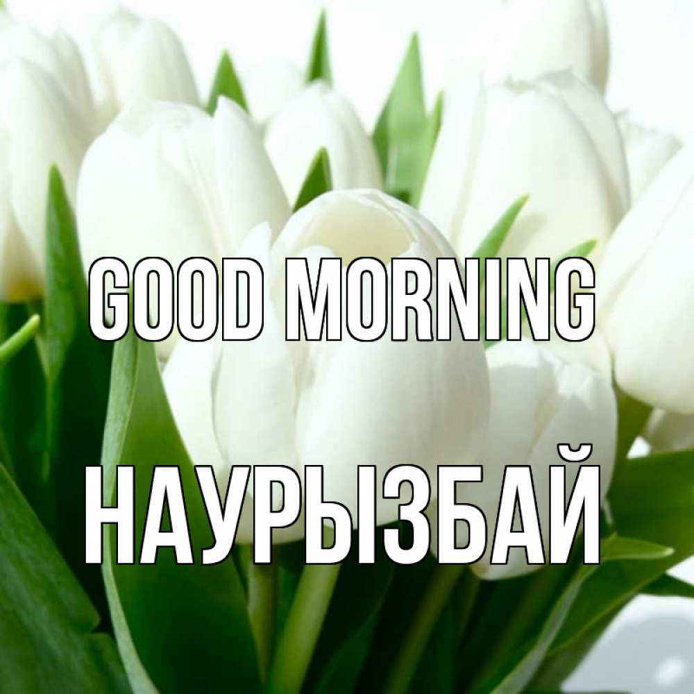 Greetings card с именем, Наурызбай Good morning открытки на каждый день по именам Greetings with text for free download 