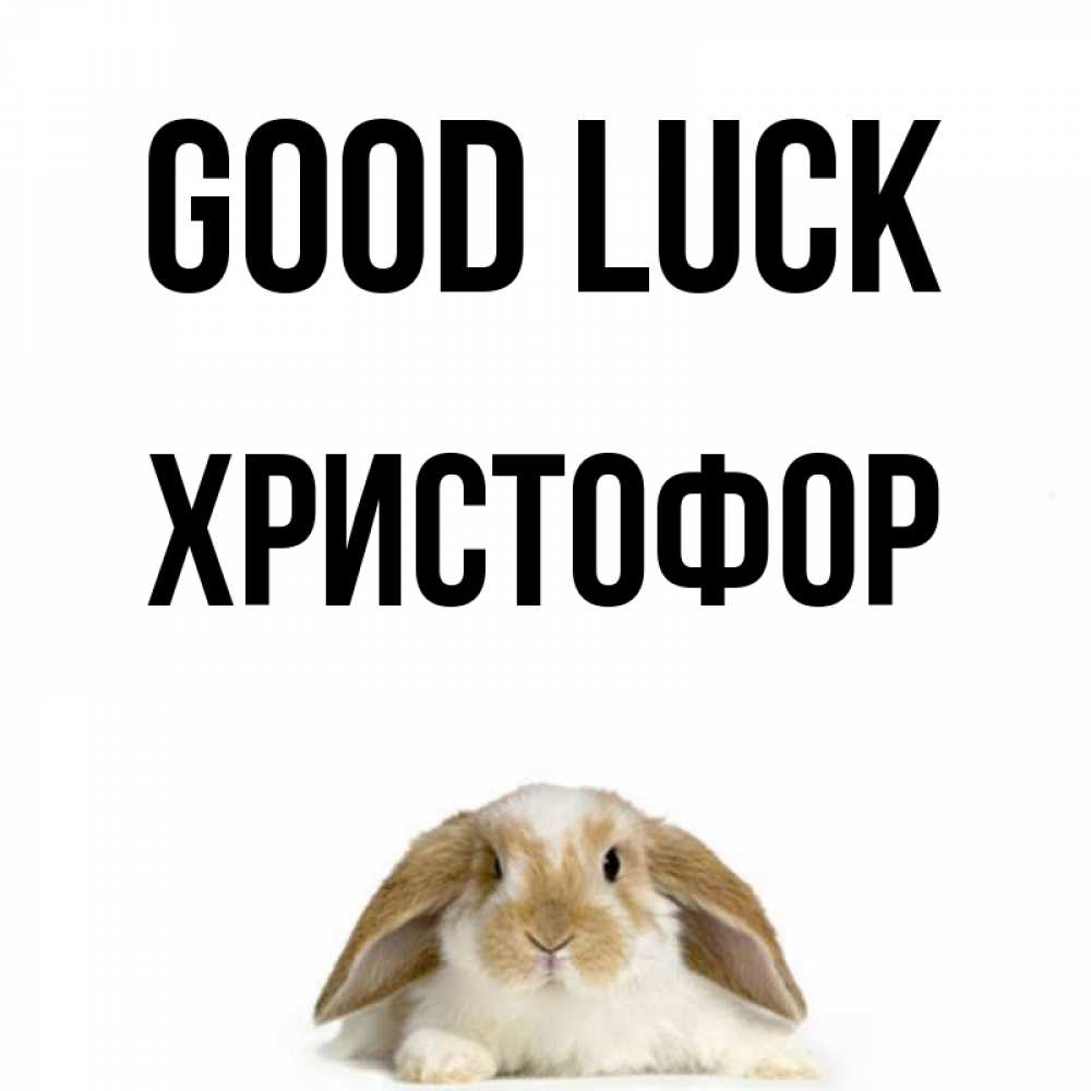 Greetings card с именем, Христофор Good luck открытки с произвольным текстом который можно вставить в открытку и создать ее самостоятельно бесплатно онлайн Greetings with text for free download 