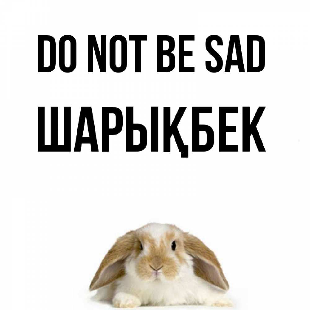 Greetings card с именем, ШАРЫҚБЕК Do not be sad коричнево белый заяц с большими ушками Greetings with text for free download 