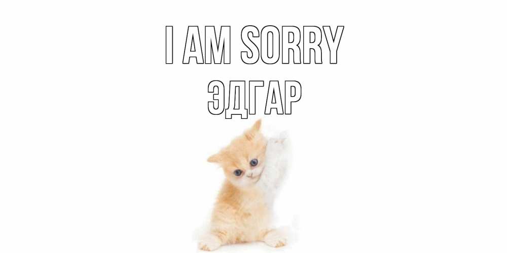 Greetings card с именем, Эдгар I am sorry кот Greetings with text for free download 