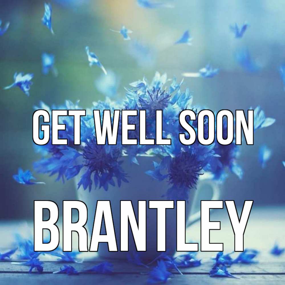 Greetings card с именем, Brantley Get well soon кружка с зельем и цветами Greetings with text for free download 