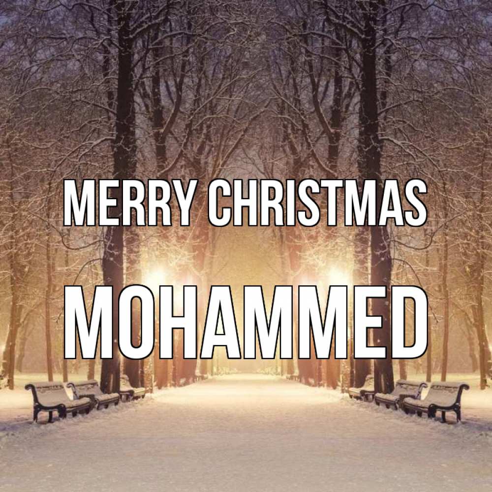 Greetings card с именем, Mohammed Merry Christmas зима, парк, фонарь, лес Greetings with text for free download 