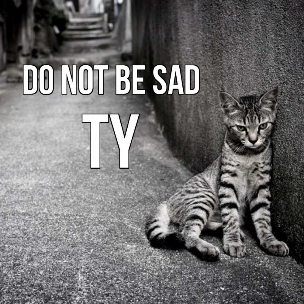 Greetings card с именем, Ty Do not be sad скучающий котик Greetings with text for free download 