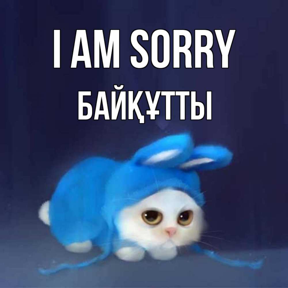 Greetings card с именем, Байқұтты I am sorry невинный котозай просит прощения Greetings with text for free download 