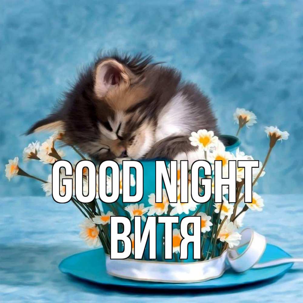 Greetings card с именем, Витя Good night котенок спит в кружке с блюдцем Greetings with text for free download 