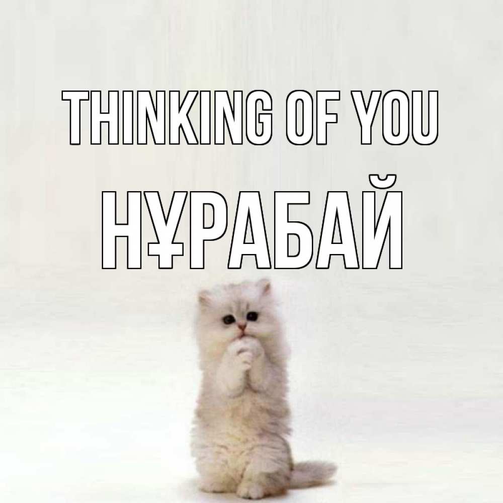 Greetings card с именем, НҰРАБАЙ Thinking of you кот стоит на задних лапах Greetings with text for free download 