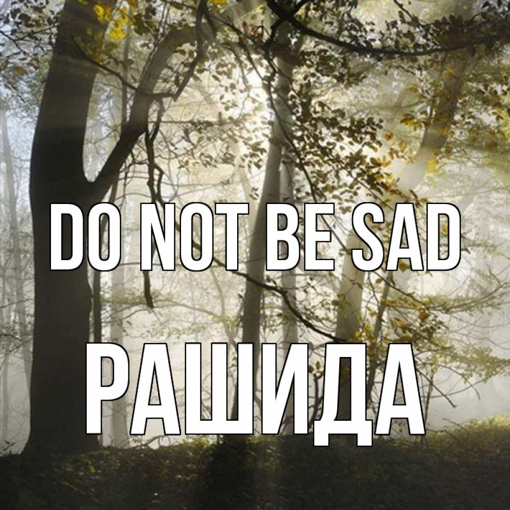 Greetings card с именем, РАШИДА Do not be sad лес и свет Greetings with text for free download 