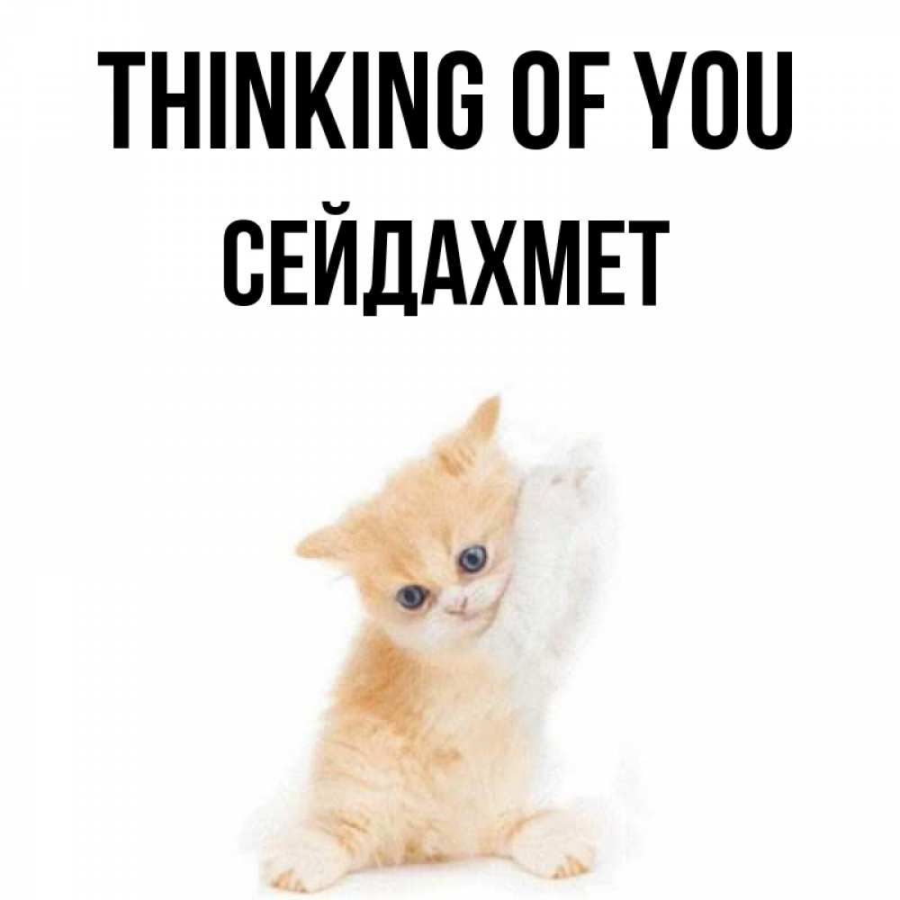 Greetings card с именем, СЕЙДАХМЕТ Thinking of you зверушки и милота Greetings with text for free download 