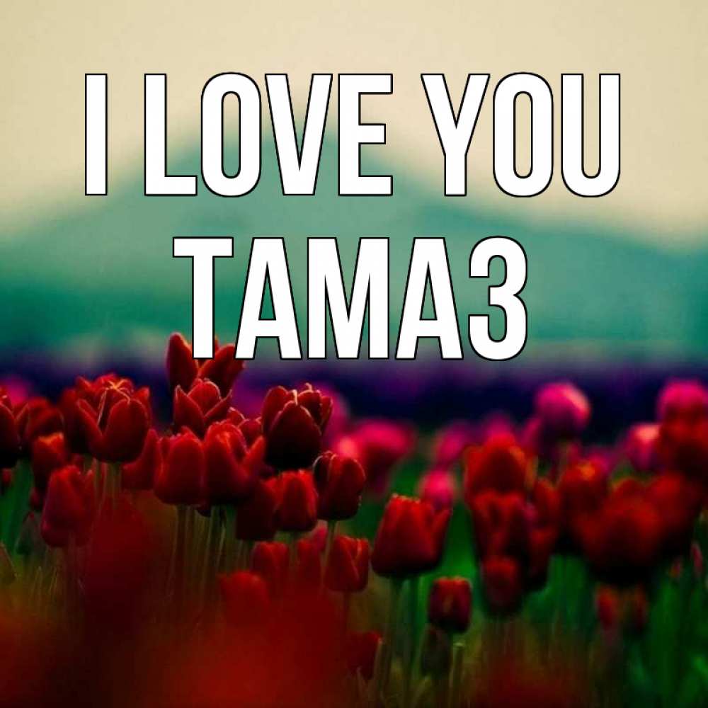 Greetings card с именем, Тамаз I love you тюльпаны 4 Greetings with text for free download 