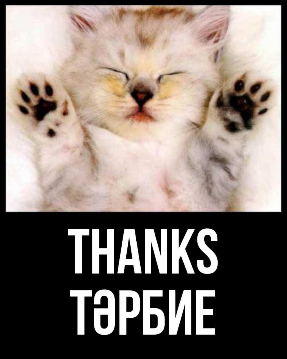 Greetings card с именем, ТӘРБИЕ Thanks маленький котенок Greetings with text for free download 