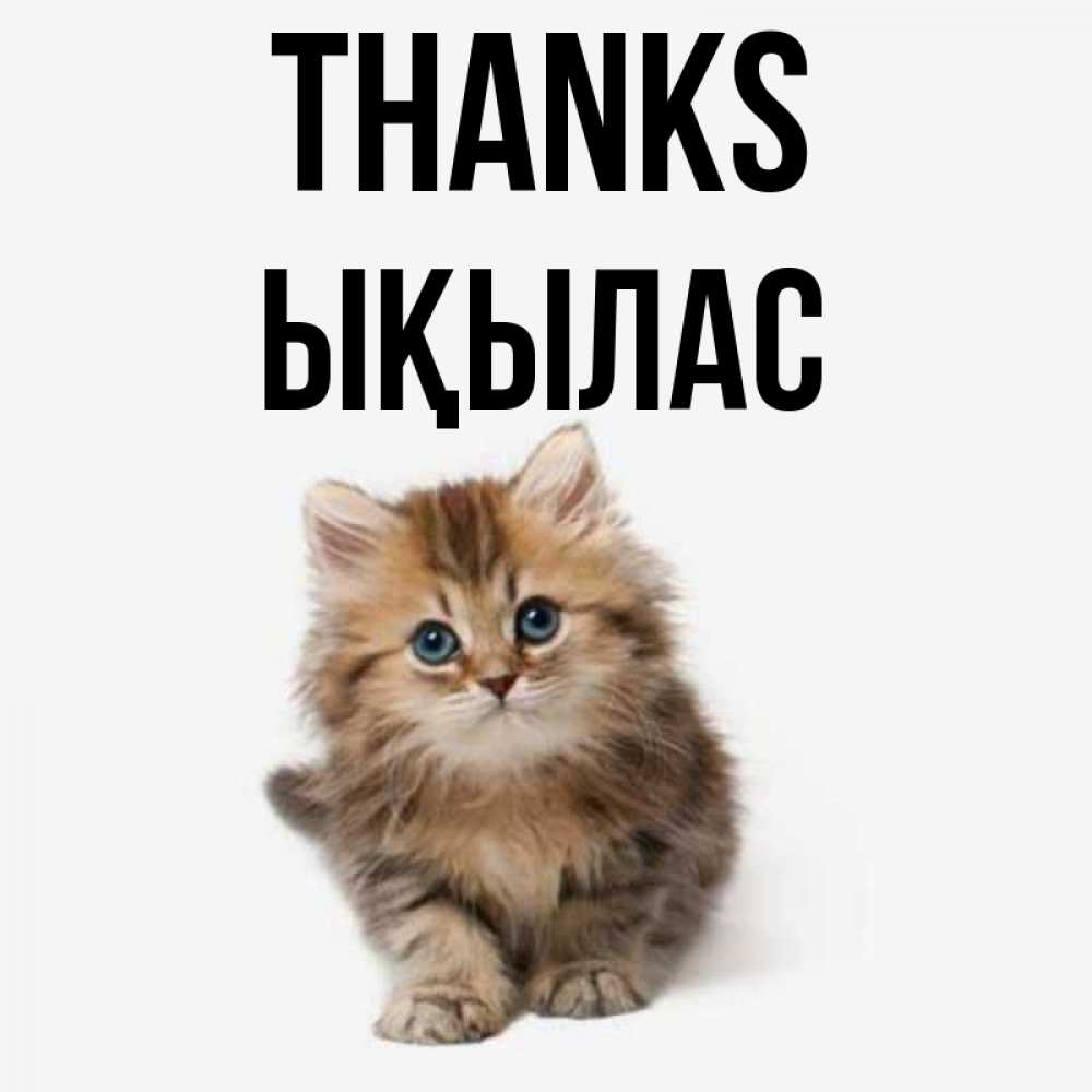 Greetings card с именем, ЫҚЫЛАС Thanks пушистый котик Greetings with text for free download 