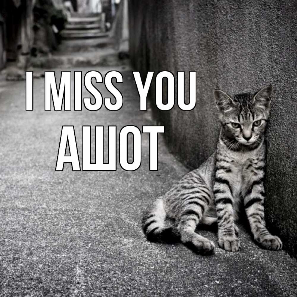 Greetings card с именем, Ашот I miss you одиноко котику Greetings with text for free download 