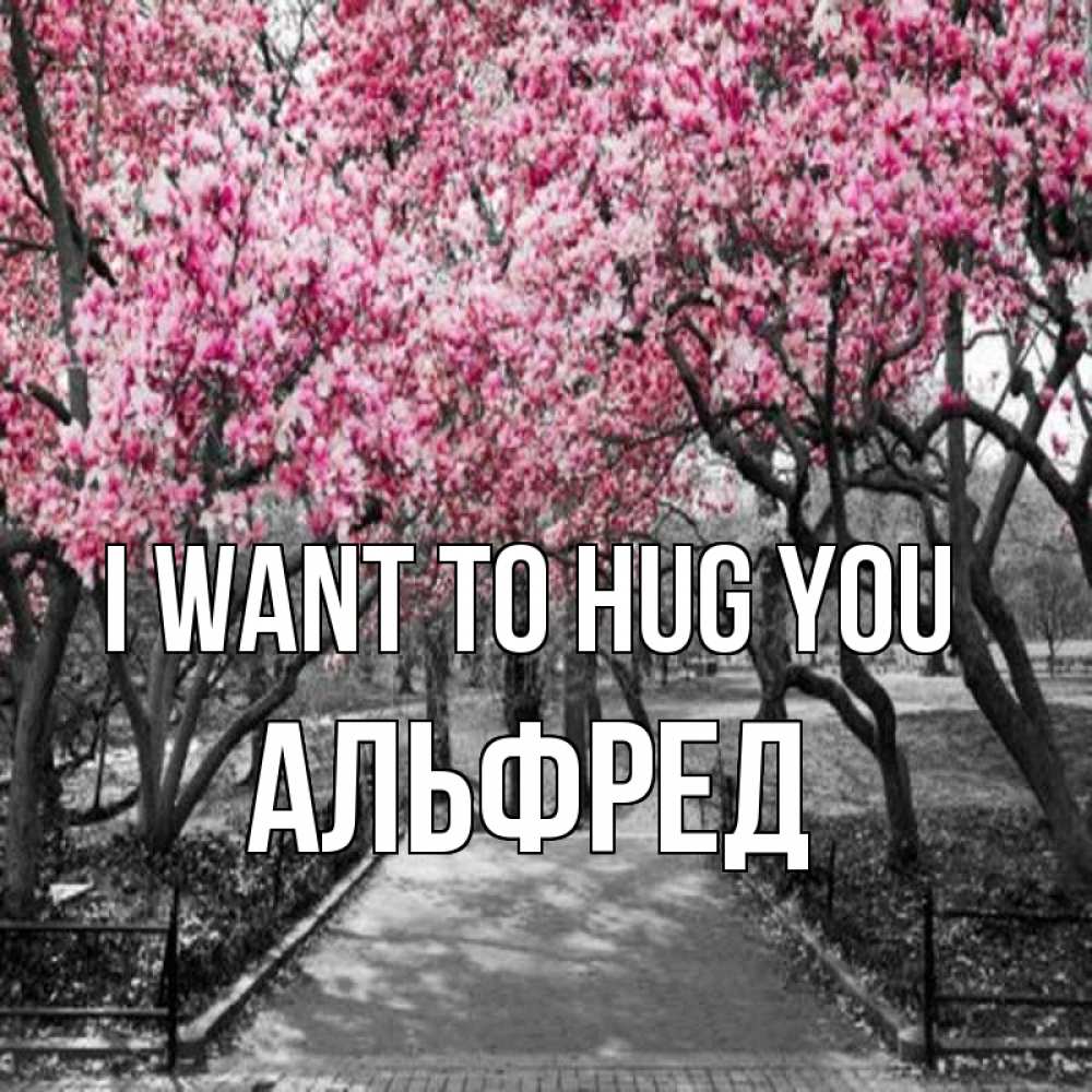Greetings card с именем, Альфред I want to hug you обработанное фото Greetings with text for free download 
