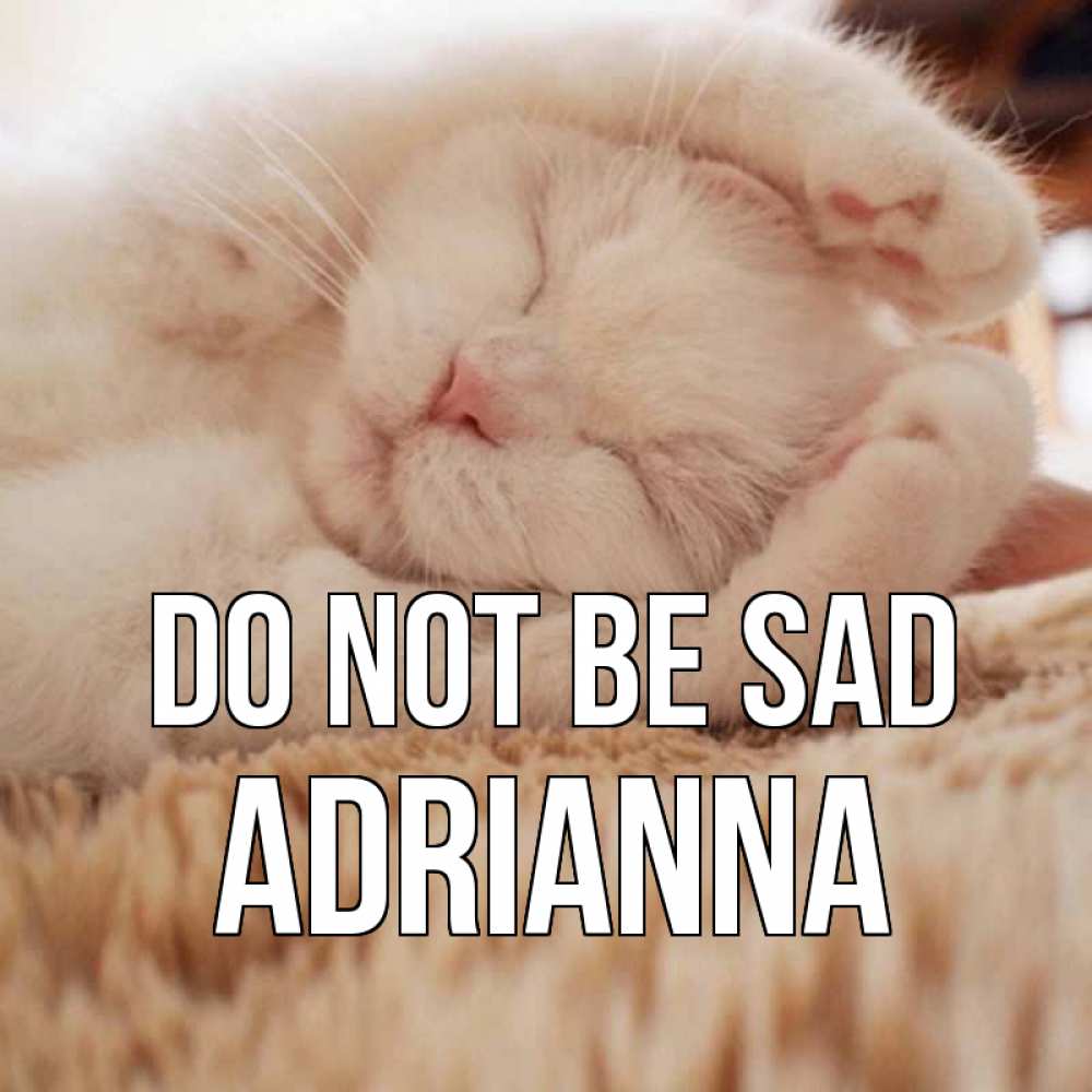 Greetings card с именем, Adrianna Do not be sad белый кот Greetings with text for free download 