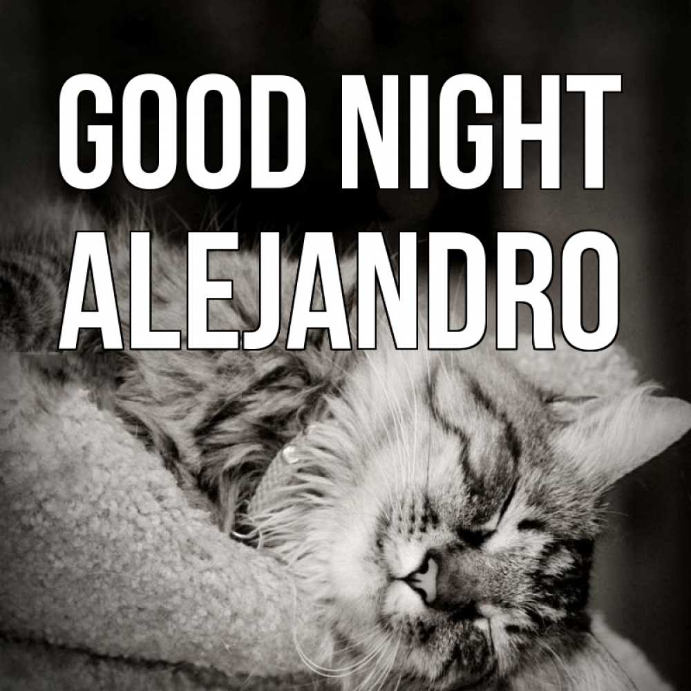 Greetings card с именем, Alejandro Good night котярик пушистый Greetings with text for free download 