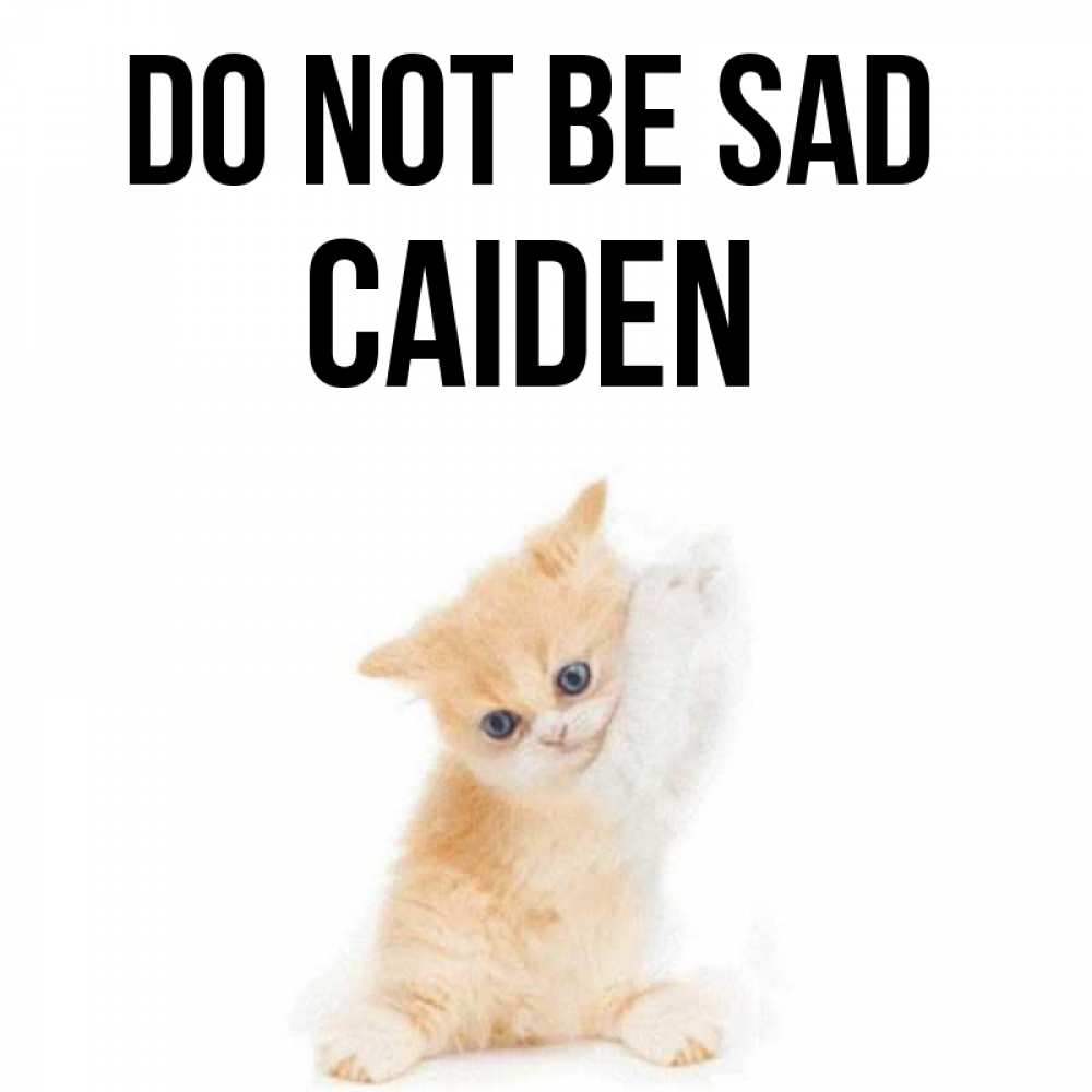 Greetings card с именем, Caiden Do not be sad просящий кот Greetings with text for free download 