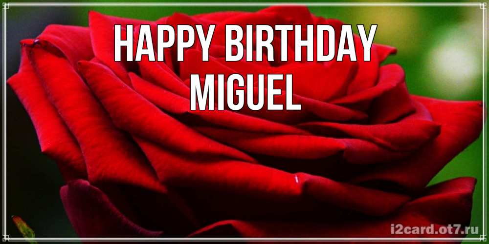 Greetings card с именем, Miguel Happy Birthday розочка очень красивая Greetings with text for free download 