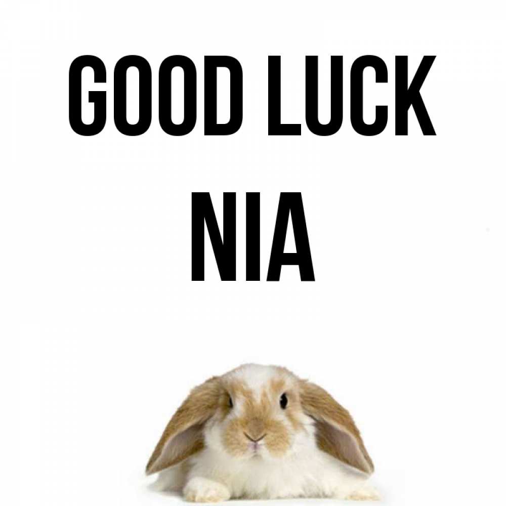 Greetings card с именем, Nia Good luck открытки с произвольным текстом который можно вставить в открытку и создать ее самостоятельно бесплатно онлайн Greetings with text for free download 